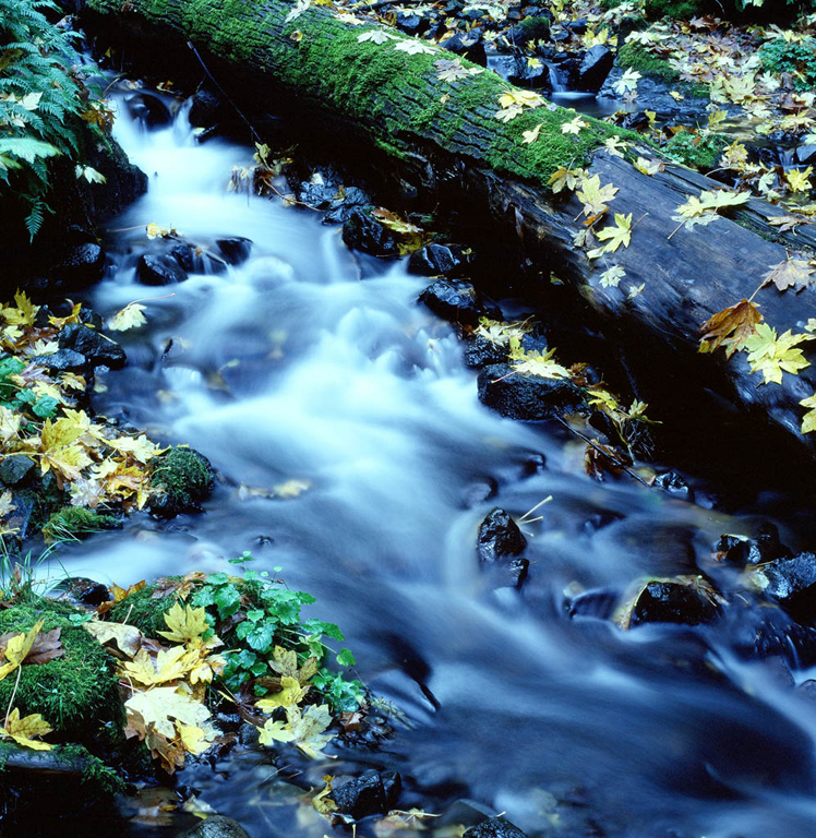 2011-2012 Medium Format Slide of the Year: Gene Noreen – “In The Gorge”
