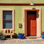 Marilyn Pitts - Tucson Still Life v2